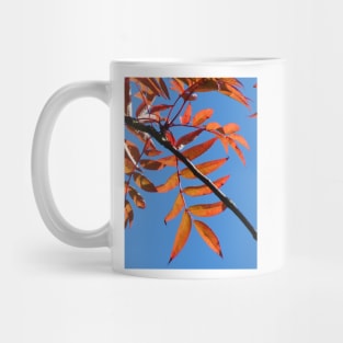 Autumn Mug